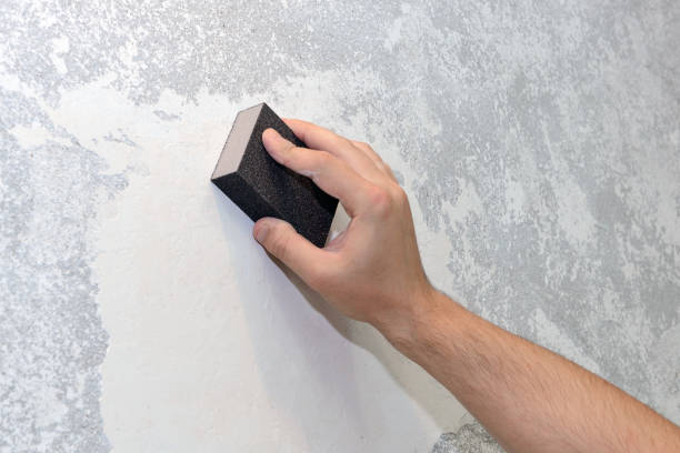 Best Asbestos and Lead Testing During Mold Inspection  in Pegram, TN