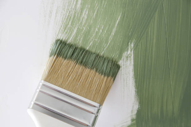 Best Black Mold Removal  in Pegram, TN