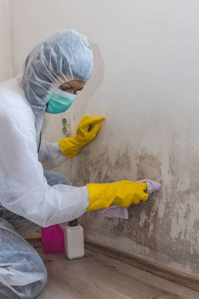 Best Forensic Mold Investigation  in Pegram, TN