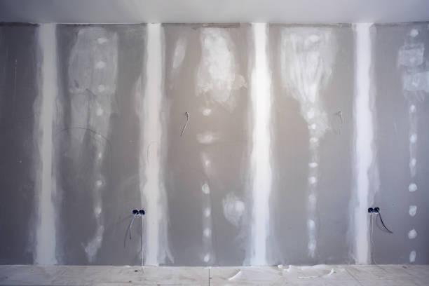 Best Real Estate Mold Inspection  in Pegram, TN